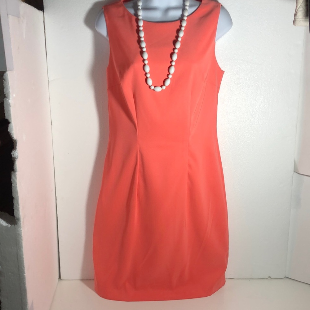 ALYX Sophisticated Deep Coral Classic Sleeveless Mini Dress, size 4